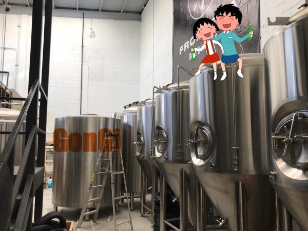 Mexico 15BBL Brewery installation